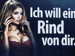 Fleisch